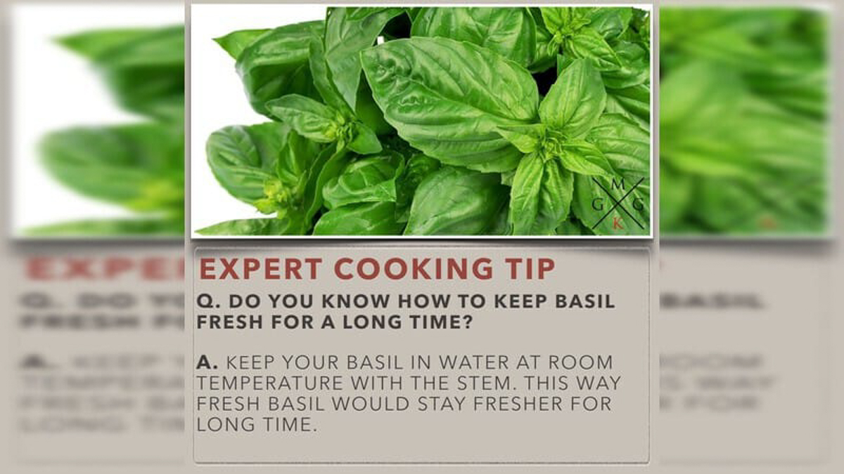 Do you know how to keep basil fresh? | My Ginger Garlic Kitchen