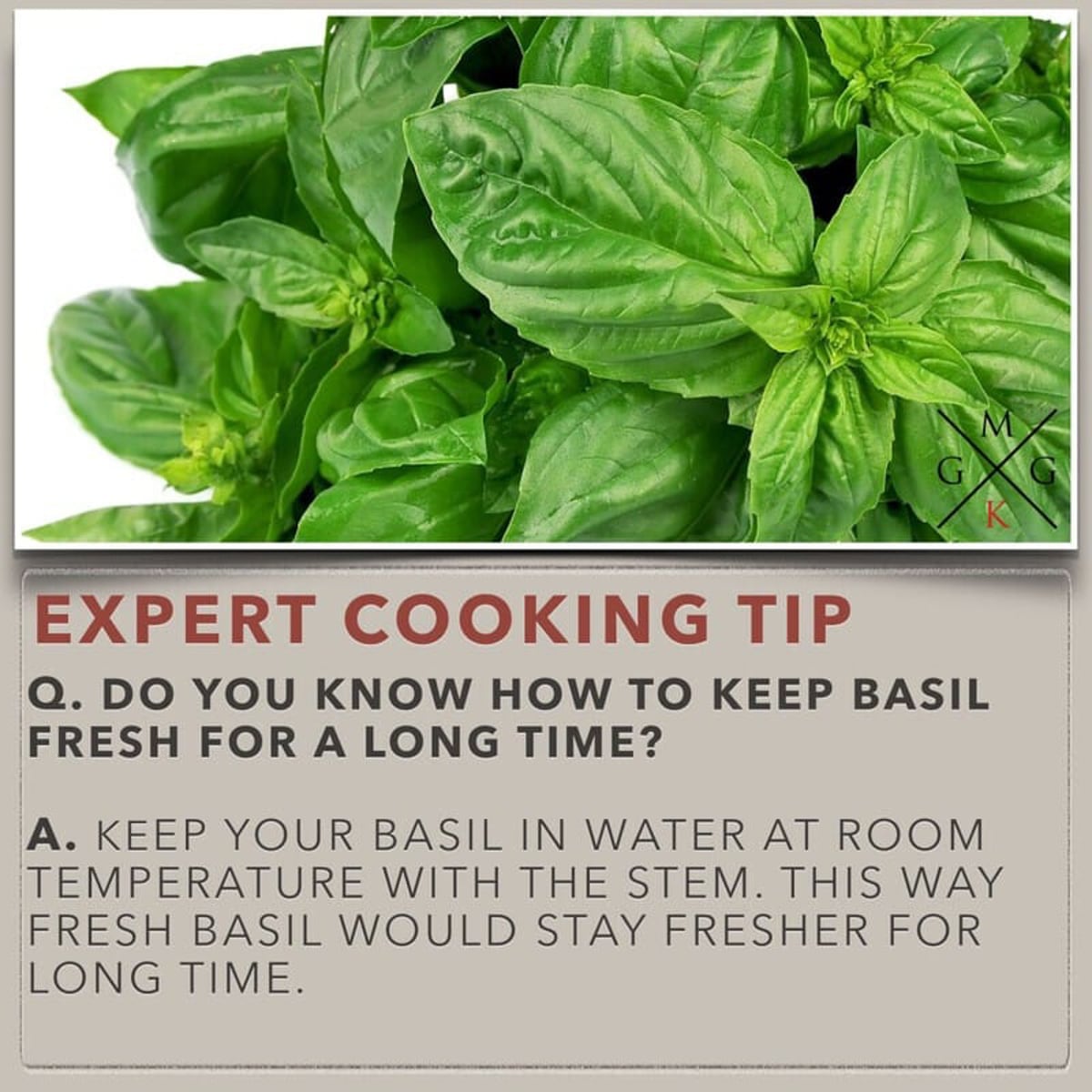 Do you know how to keep basil fresh